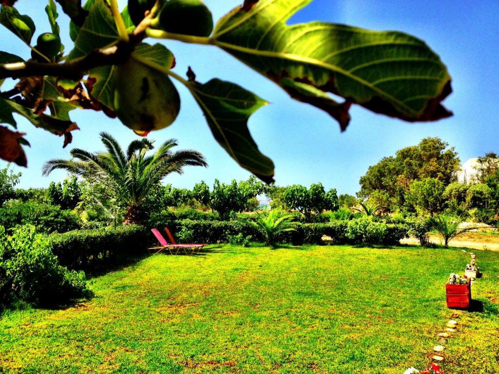 העיירה רתימנו Chrissas Apartments מראה חיצוני תמונה