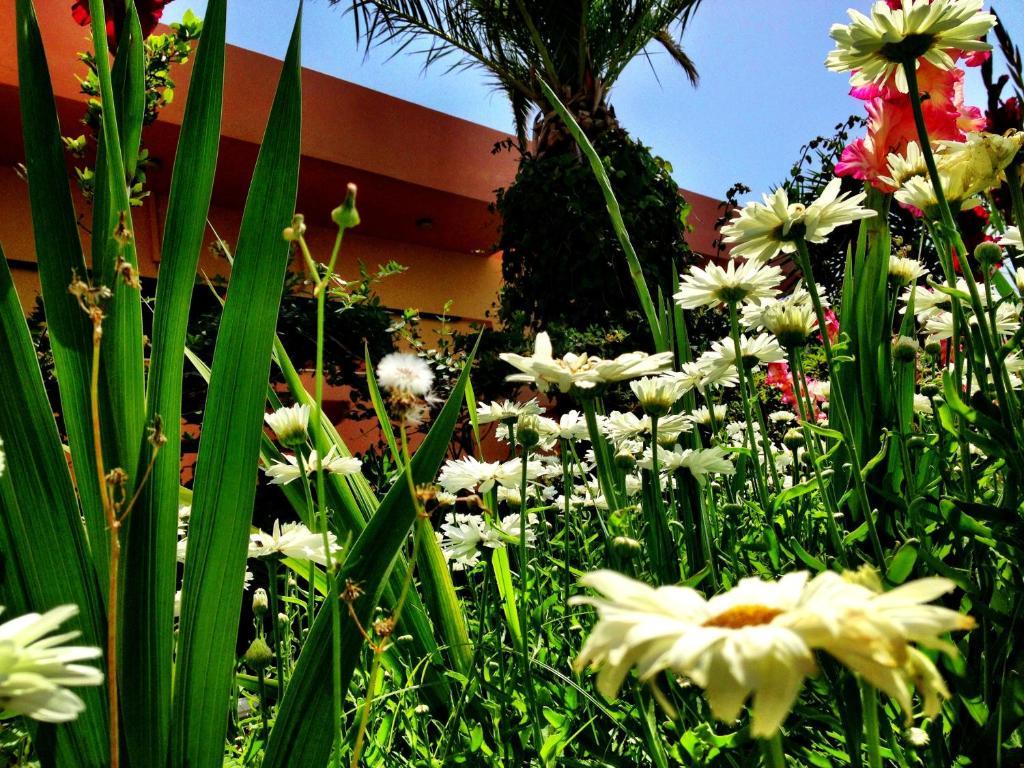 העיירה רתימנו Chrissas Apartments מראה חיצוני תמונה